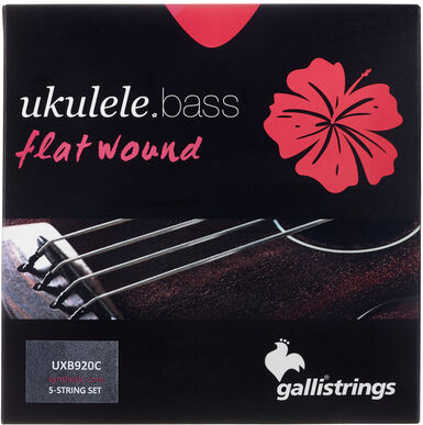 Galli Strings UXB920C Ukulele Bass Str.