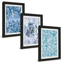 BILDER SET 3er Set - 20x30 cm Schwarzer Rahmen - Winterwald blaue Blume Wasser