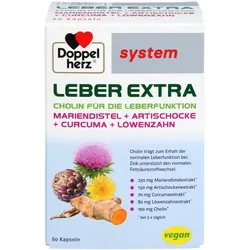 Doppelherz Leber Extra System 60 ST