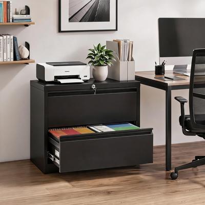 Garvee 2 Drawers Metal Lateral File Cabinet and Lock, Office Storage Cabinet for Letter