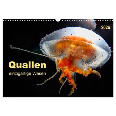 Quallen - einzigartige Wesen (Wandkalender 2026 DIN A3 quer), CALVENDO Monatskalender