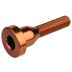 BURGTEC Aluschraube für Top Cap | Kash Bronze