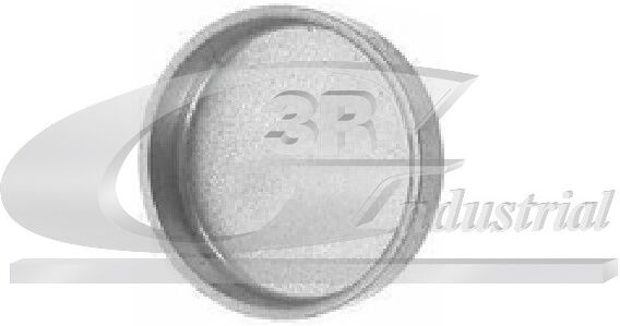 3rg Froststopfen 84013 21mm