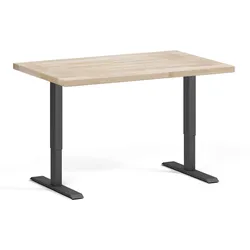 Höhenverstellbare Werkbank für die Werkstatt, 2 Motoren, 1200 x 800 x 760-1230 mm, schwarzer Untergestell
