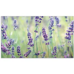 Wallario Herdabdeckplatte 60 x 52 cm (BxH), 1-teilig Lila Blumenfreude - Violette Pflanzen auf der Wiese