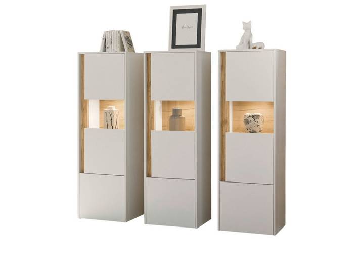 Furn.Design Stauraumvitrine Center