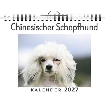 Chinesischer Schopfhund