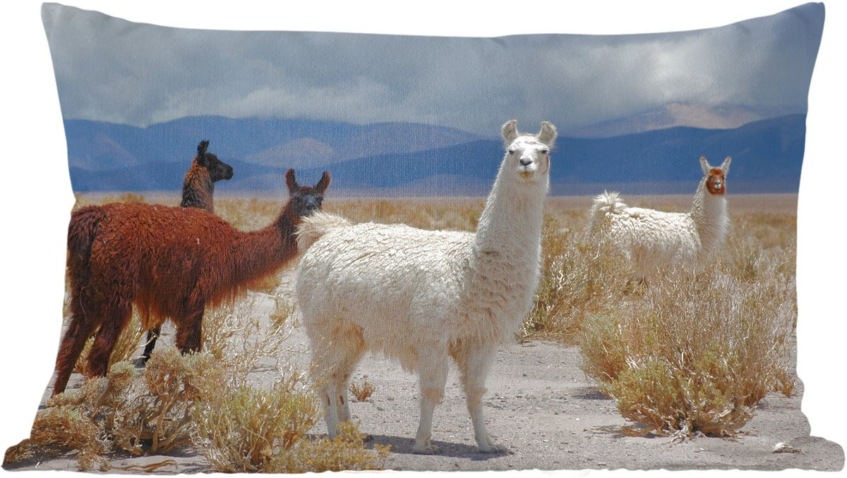 Katoenen sierkussen met alpaca-print, 50 x 30 cm