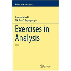 Exercises in Analysis, Fachbücher von Leszek Gasińksi, Nikolaos S Papageorgiou