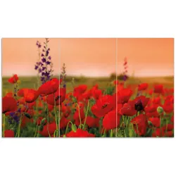 Wallario Herdabdeckplatte 80 x 52 cm (BxH), 2-teilig Mohnblumen auf dem Feld