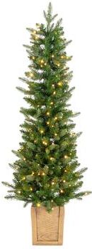 Sterling Natural Cut Saginaw Spruce Potted 5ft with Multi-Color LEDs