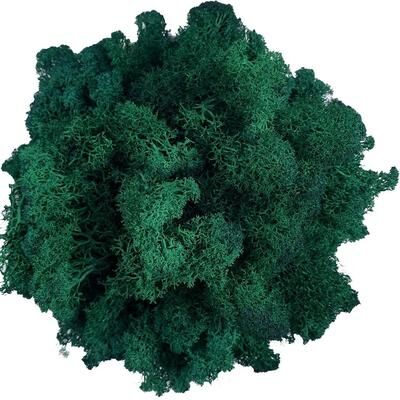 Inspire Select Artificial Reindeer Moss Decor Faux Green Moss For Crafts, Potted Plants & Wall Art dark Green 2.1 Oz