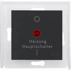 Kopp 493815004 HK07 IP44 - Flächenwippe für Heizung Haupschalter, Farbe: anthrazit