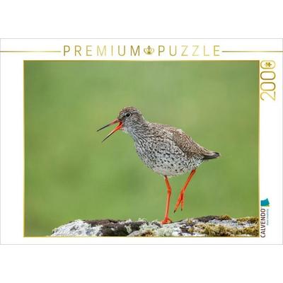 CALVENDO Puzzle Rotschenkel | 2000 Teile Lege-Größe 90x67cm Foto-Puzzle für glückliche Stunden