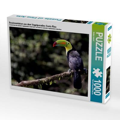 Swainsontukan aus dem Vogelparadies Costa Rica (Puzzle)