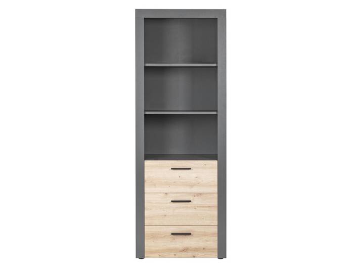 Regal ROLAND grau/ braun