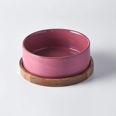 Inspire Essentials ComfortLift Elevated Ceramic Cat Bowl For Healthy Feeding 4 6.10in 28.75oz