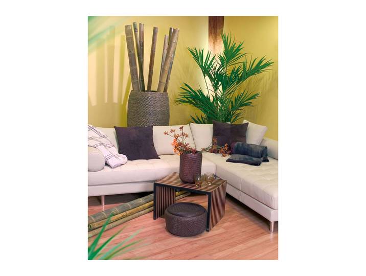Dekorbambus Natur ⌀ 5-8 × 240 cm