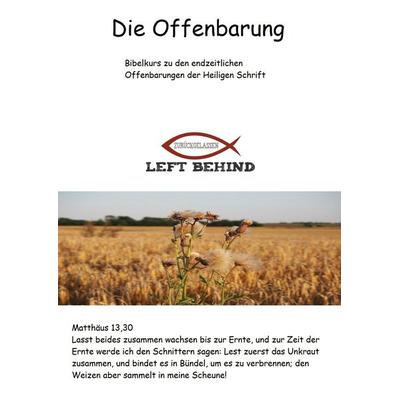 Bibelkurs zu den endzeitlichen biblischen Offenbarungen, Taschenbuch von Bernd Wessel, Mybestseller, 978-94-6318-047-4