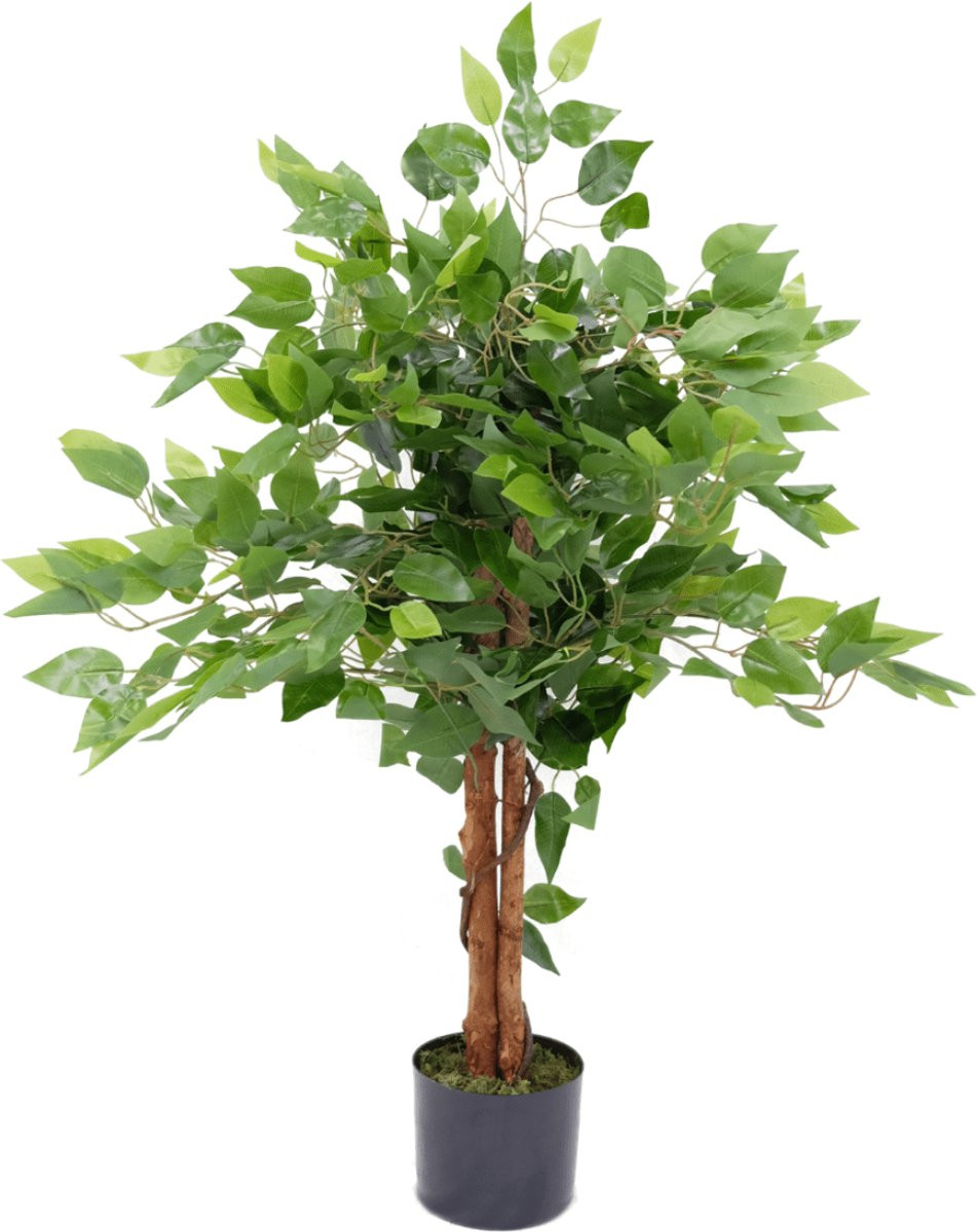 PrettyPlants Ficus Kunstboom Groen met stam, Hoogte: 90 cm
