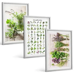 BILDER SET 3er Set - 40x60 cm Silberner Rahmen - Getrocknete Kräuter für die Küche