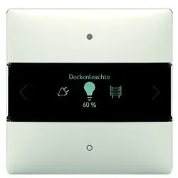 Theben Raumcontroller LUXORliving iON8