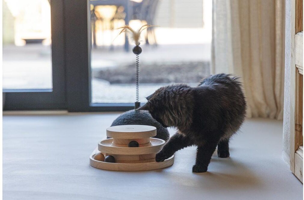 Katzen-Spielschiene DESIGNED BY LOTTE "Maia", braun (natur, schwarz), B:50cm H:38cm T:24,5cm, Tierspielzeuge, Katzen-Spielschiene natur, schwarz Einheitsgröße