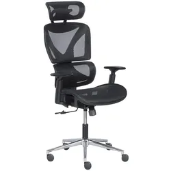 Carmen LORIENT Ergonomischer Bürostuhl mit Netzrücken, Kopfstütze und 1D-Armlehnen – Schwarz