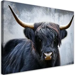 WANDBILD schwarze schottische kuhtiere