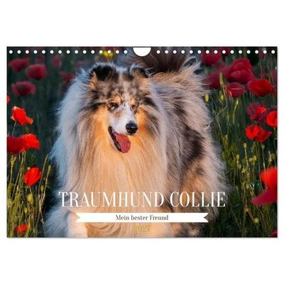 Traumhund Collie - Mein bester Freund (Wandkalender 2027 DIN A4 quer), CALVENDO Monatskalender