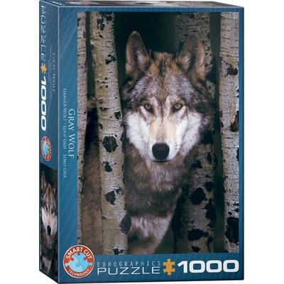 Gray Wolf