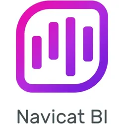 UPG Navicat BI, 1 User