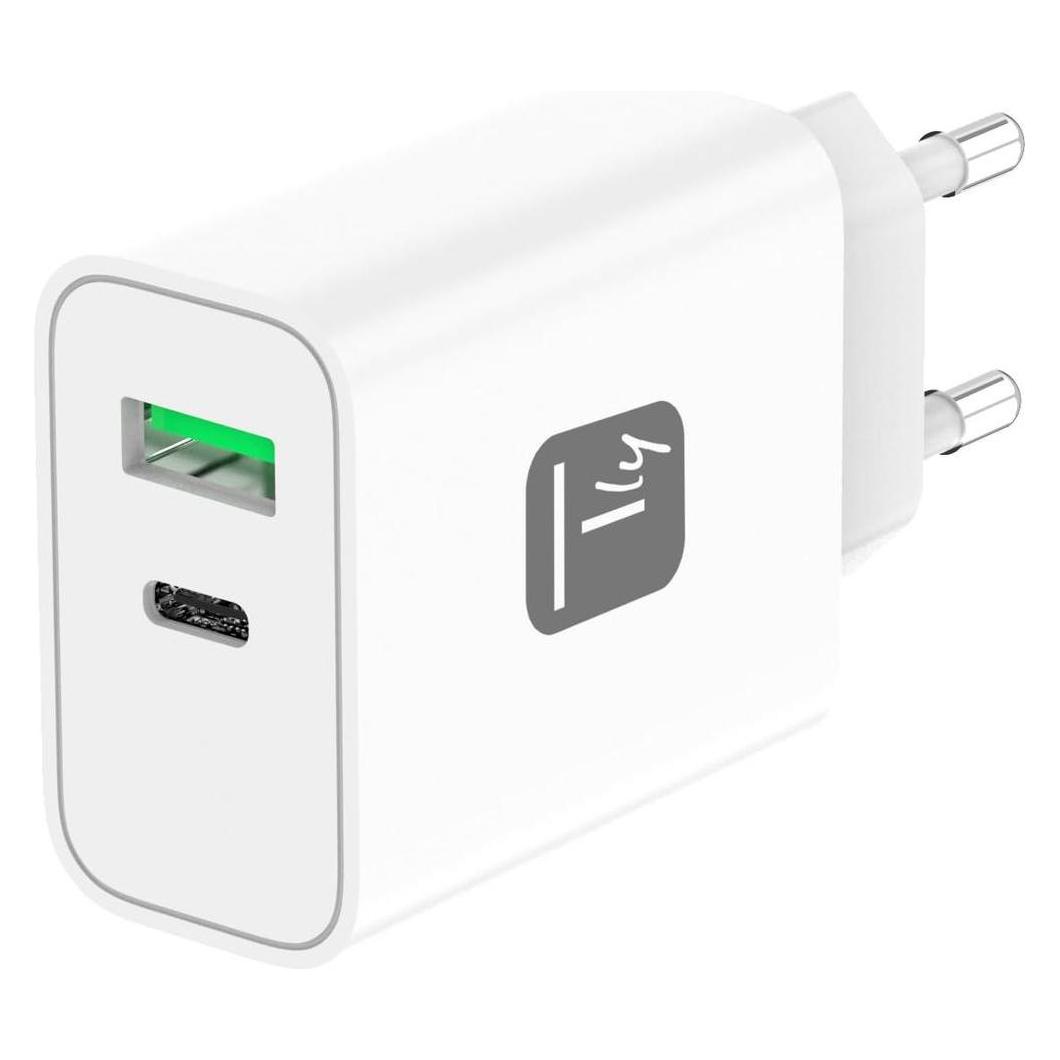 Techly IPW-USB-30WACG (30 W, 2 Ports) (IPW-USB-30WACG)