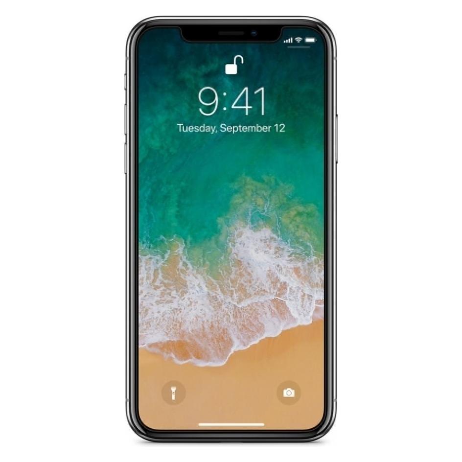 Screenguard 100% Display Schutz Folie Apple iPhone XS Crystal Clear (Apple iPhone XS) (00023402)