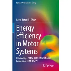 Energy Efficiency in Motor Systems, Fachbücher