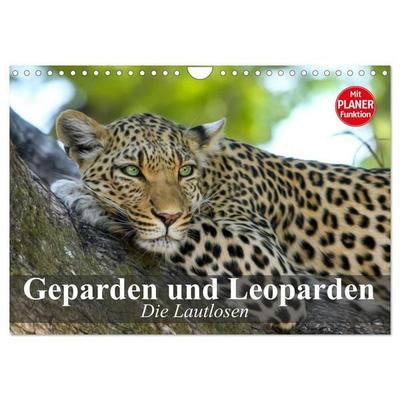 Die Lautlosen. Geparden und Leoparden (Wandkalender 2027 DIN A4 quer), CALVENDO Monatskalender