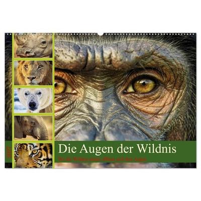 Die Augen der Wildnis (Wandkalender 2027 DIN A2 quer), CALVENDO Monatskalender