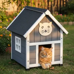 Katzenhaus Tiger