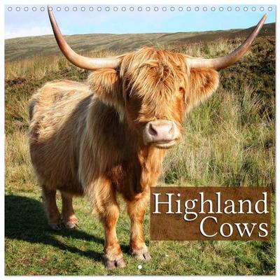Highland Cows (Wall Calendar 2026 12 × 12 Inch) CALVENDO 12 Month Wall Calendar