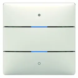 Theben 4969232 KNX-Tastsensor mit 2 Tasten und 2 Status-LEDs, integrierter Temperatursensor, KNX Data Secure iON 102 KNX