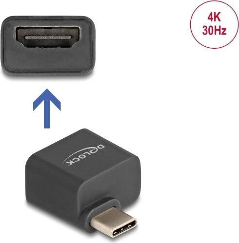 Delock Mini-adapter USB Type-C naar HDMI met DP Alt Mode, 4K