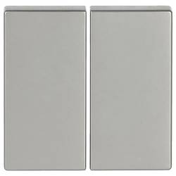 Busch-Jaeger Abdeckung Wippe Pur Edelstahl Edelstahl 2CKA006730A0139 1 St.