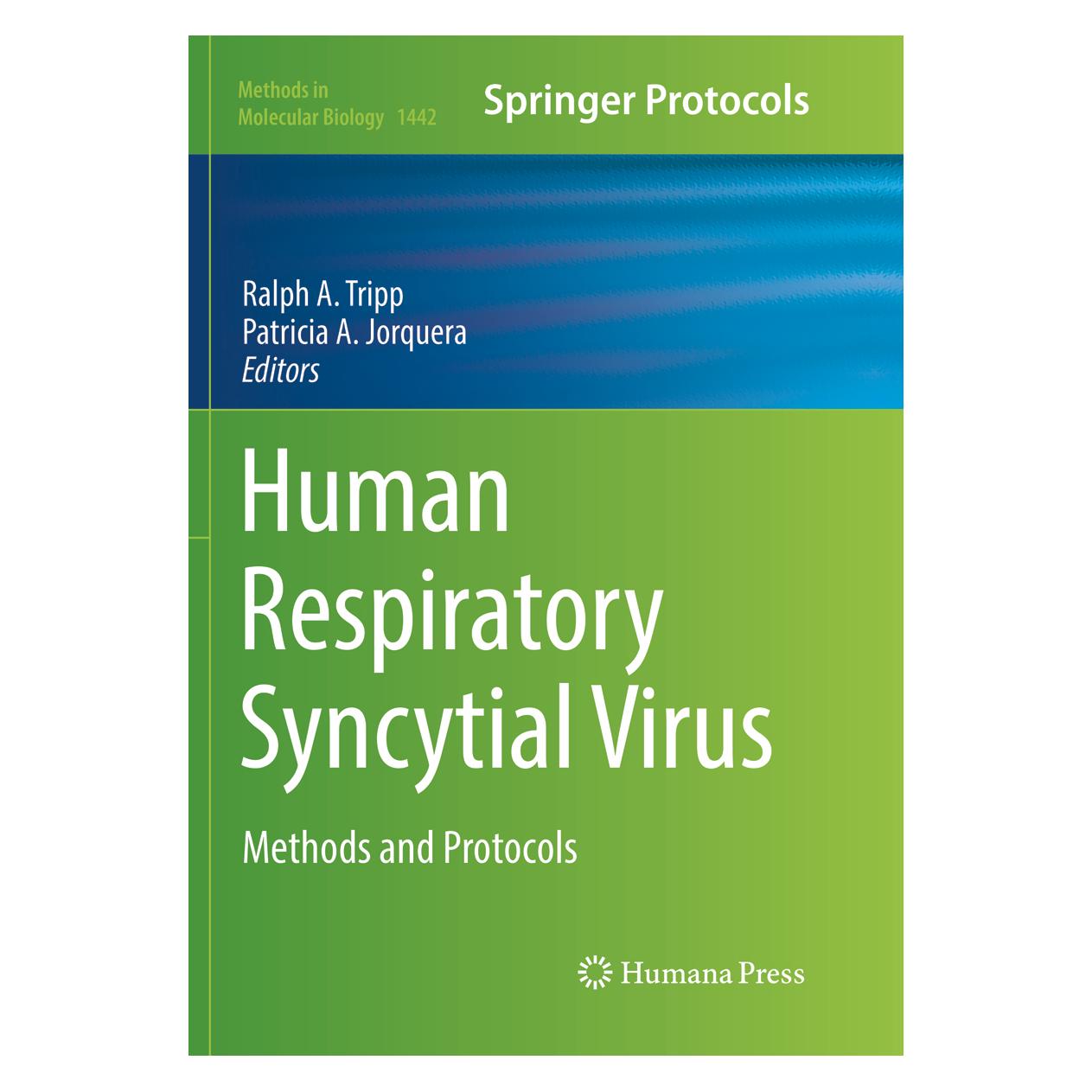 Springer Human Respiratory Syncytial Virus (Englisch, Softcover, Patricia A. Jorquera, Ralph A. Tripp) (56006729)