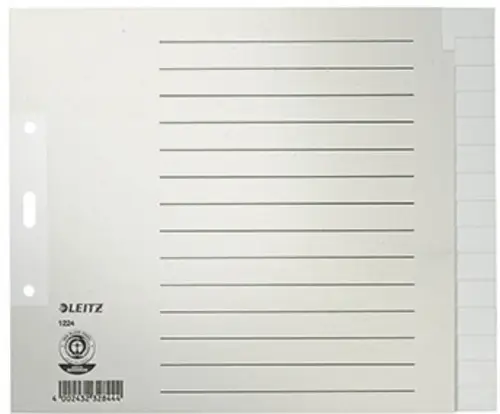 Leitz 1224 Register DIN A4, Überbreite blanko Tauenpapier Grau 15 Registerblätter 12240085