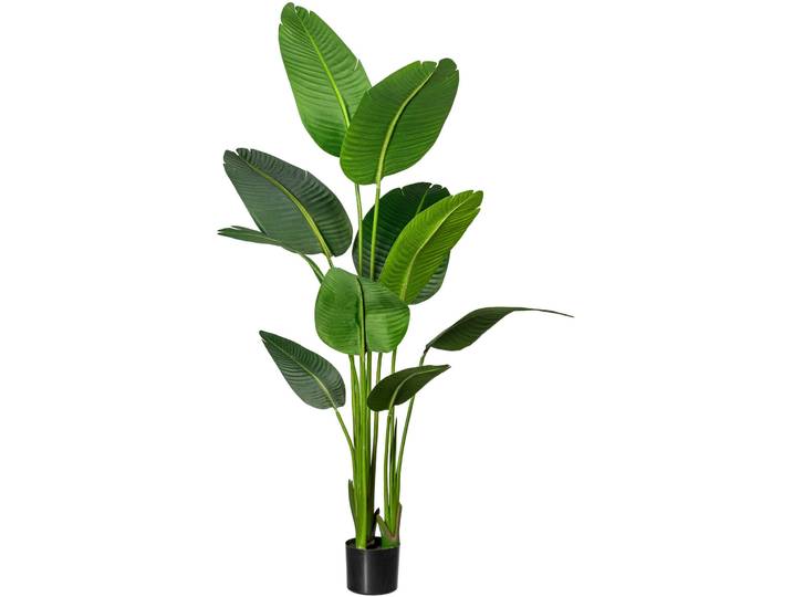 Künstliche Zimmerpflanze CREATIV GREEN Strelitzia , grün, H:160cm, Kunststoff, Kunstpflanzen, Künstliche Zimmerpflanze