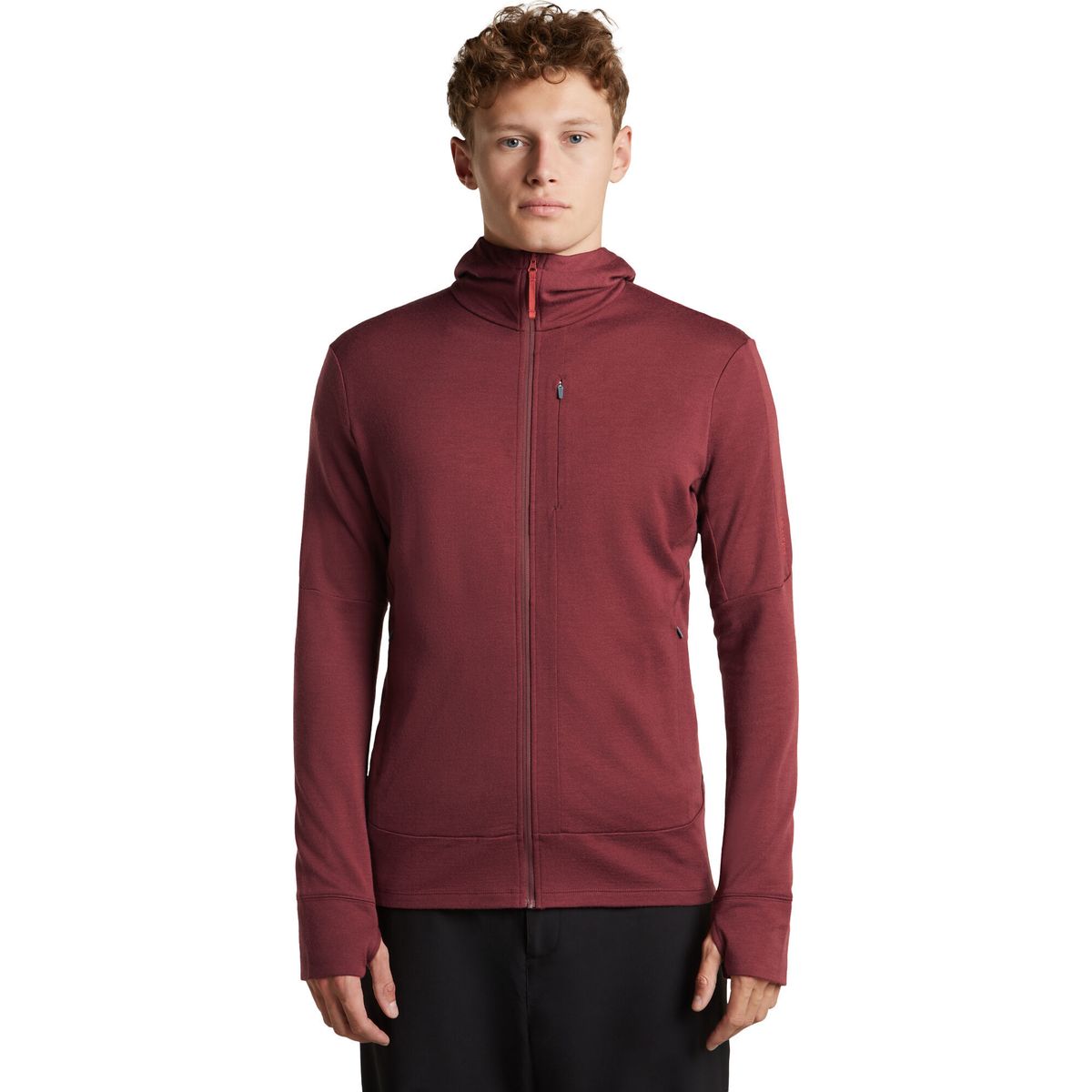 Icebreaker M Mer 260 Quantum IV Long Sleeve Zip Hoodie port/agate (IB0NL) S BA56W2IB0NL-S