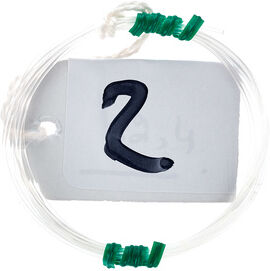 Roth & Junius Lever Harp String No. 02