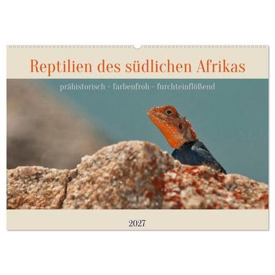 Reptilien des südlichen Afrikas (Wandkalender 2027 DIN A2 quer), CALVENDO Monatskalender