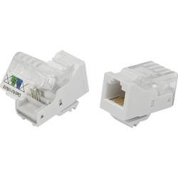 TRU COMPONENTS 93014c937 Modularbuchse, werkzeuglos Buchse, gerade Natur 1 St. 817968