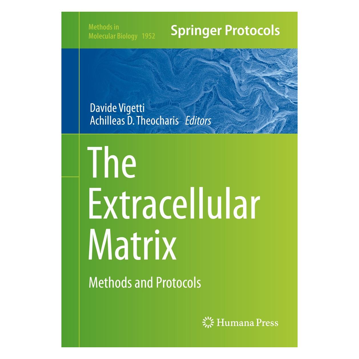 Springer The Extracellular Matrix (Englisch, Hardcover, Achilleas D. Theocharis, Davide Vigetti) (9781493991327)